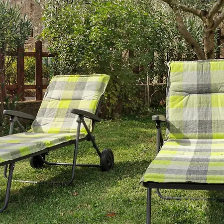 Apartment Cozy In With Wifi