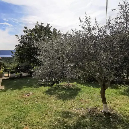 Appartamento Cozy In With Wifi